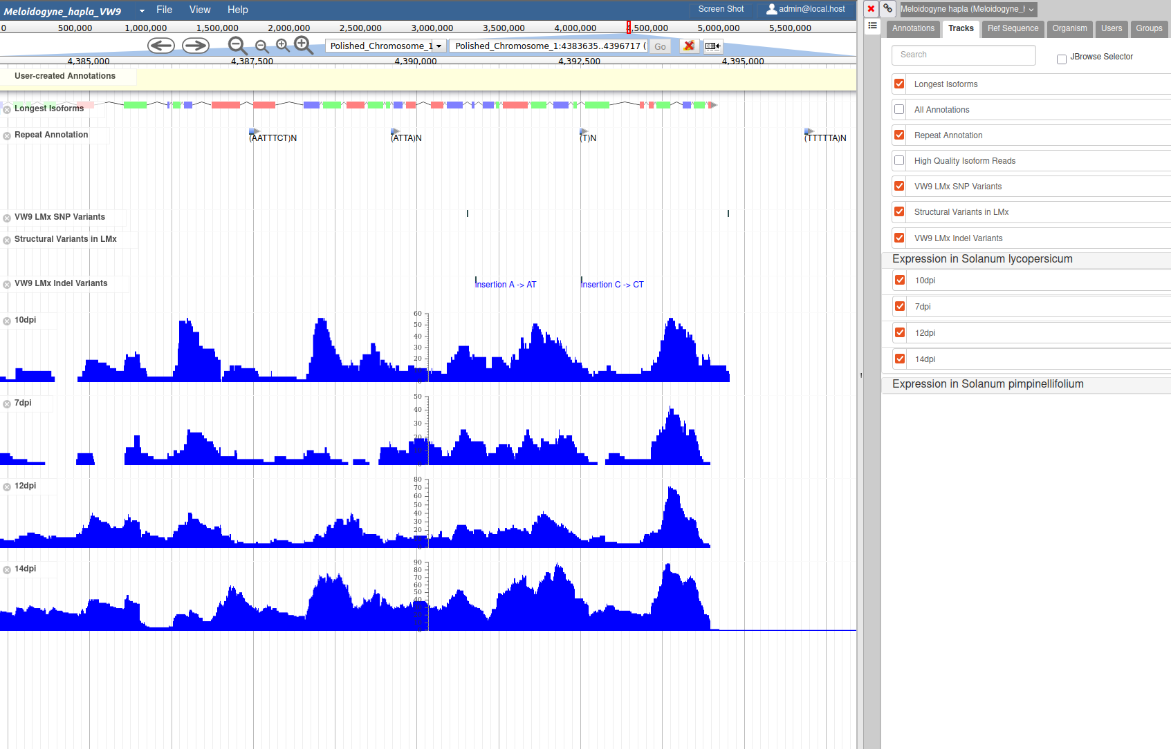 Apollo Genome Browser Interface